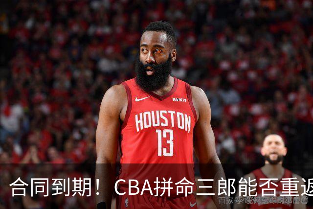 合同到期！CBA拼命三郎能否重返广东？期待辅佐徐杰、胡明轩